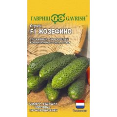 Семена Огурец Жозефино F1 5 шт Голландия