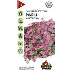 Семена Гипсофила ползучая Румяна 0,05 г Удачные семена