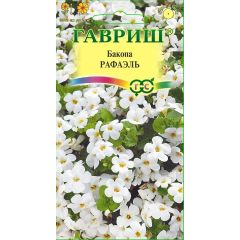 Семена Бакопа Рафаэль 3 шт