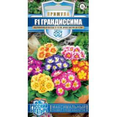 Семена Примула Грандиссима обыкновенная смесь F1 5 шт