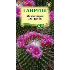 Семена Маммиллярия Толука Кактус Сан пико 2 шт.