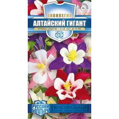 Семена Аквилегия Алтайский гигант культурная 0,05 г