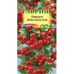 Семена Пираканта Ярко-красная 5 шт.