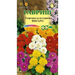Семена Георгина Фигаро 7 шт