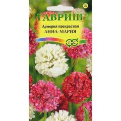 Семена Армерия Анна Мария красивая 0,03 г