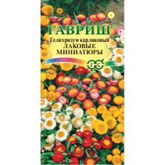 Семена Гелихризум карлик Лаковые миниатюры 0,1 г