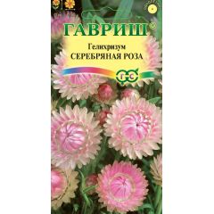 Семена Гелихризум Серебряная роза 0,01 г