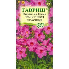 Семена Инкарвиллея Делавея Зимостойкая глоксиния 0,1 г