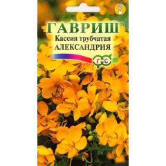 Семена Кассия Александрия трубчатая 3 шт.