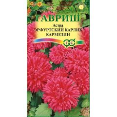 Семена Астра Эрфуртский карлик Кармезин 0,3 г
