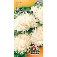 Семена Астра Крем-брюле 0,3 г Удачные семена