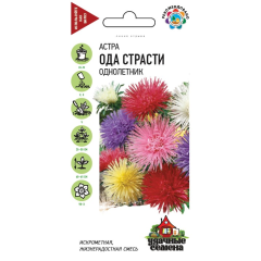 Семена Астра Ода страсти 0,3 г Удачные семена