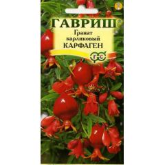Семена Гранат карликовый Карфаген 5 шт