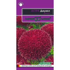 Семена Астра Джувел Гранат 0,05 г