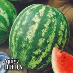 Семена Арбуз Ница 10 г