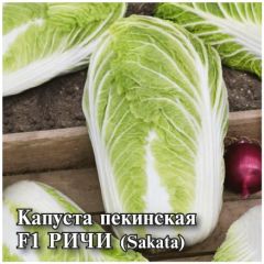 Семена Капуста пекинская Ричи F1 250 шт