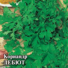 Семена Кориандр Дебют 25 г