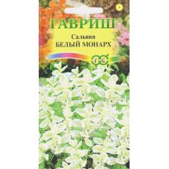 Сальвия Белый монарх, хорминум* 0,05 г