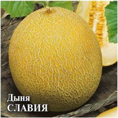 Семена Дыня Славия 25 г