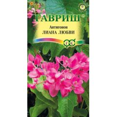Семена Антигонон Лиана любви 5 шт.