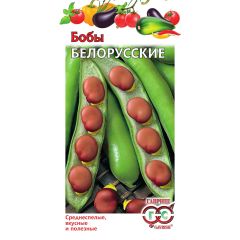 Семена Бобы Белорусские 10 шт.
