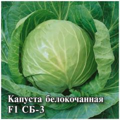 Семена Капуста белокочанная СБ-3  F1 25 г