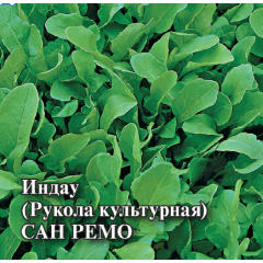 Семена Индау рукола культурная Сан Ремо 25 г