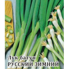 Семена Лук батун Русский зимний 50 г