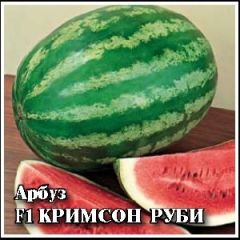 Семена Арбуз Кримсон Руби F1 50 шт