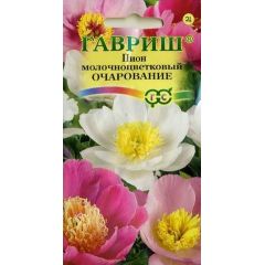 Семена Пион молочноцветковый Очарование 3 шт