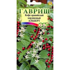 Семена Кофе аравийский карликовый Альберт 5 шт.
