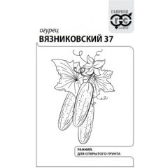 Семена Огурец Вязниковский 37 0,5 г б/п с евроотв.