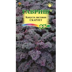 Семена Капуста листовая Скарлет 0,2 г