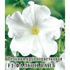 Петуния Фалкон Вайт F1 крупноцв. 100 шт.
