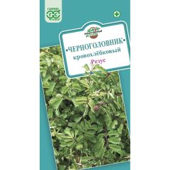 Семена Черноголовник кровохлебковый Кровохлёбка Резус 0,5 г