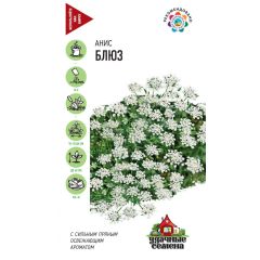Семена Анис Блюз 0,5 г Удачные семена