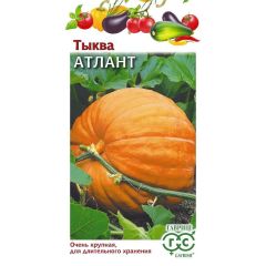 Семена Тыква Атлант 2 г