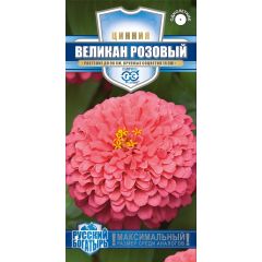 Цинния Великан розовый 0,3 г серия Русский богатырь