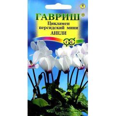 Семена Цикламен Анели персидский 3 шт.
