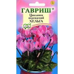 Семена Цикламен Хельга персидский 3 шт.