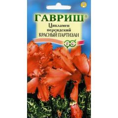 Семена Цикламен Красный партизан персидский 3 шт.