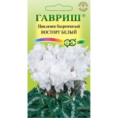 Семена Цикламен Восторг белый F1 махровый 3 шт.