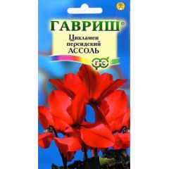 Семена Цикламен Ассоль персидский 3 шт.
