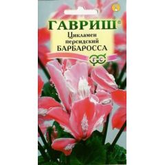 Семена Цикламен Барбаросса персидский 3 шт.