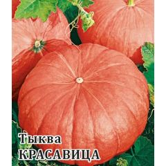 Тыква Красавица 100,0 г