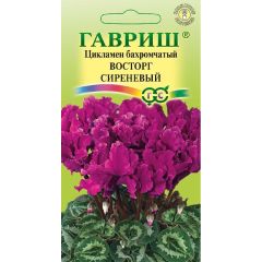 Семена Цикламен Восторг сиреневый F1 махровый 3 шт.