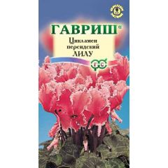 Семена Цикламен Лилу персидский 3 шт.