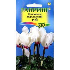 Семена Цикламен Рой персидский 3 шт.