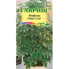 Семена Шеффлера Грин Стар 3 шт.