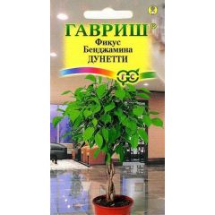 Семена Фикус Бенджамина Дунетти 0,01 г
